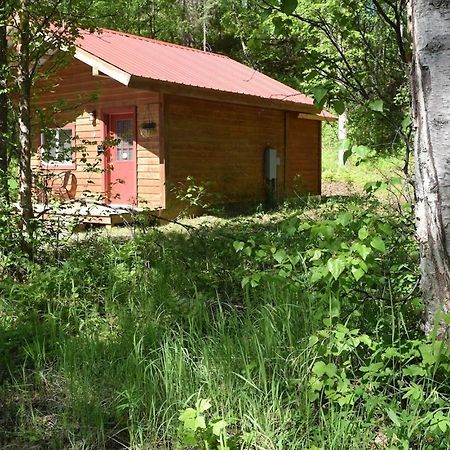 Birch Cabin Talkeetna Exterior foto