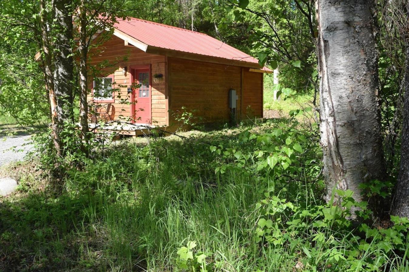 Birch Cabin Talkeetna Exterior foto